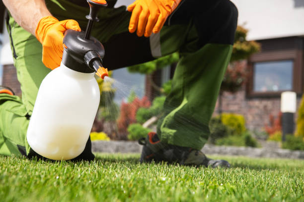 Best Exterminator Services  in North Webster, IN
