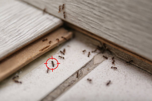 Best Commercial Pest Control Services  in North Webster, IN