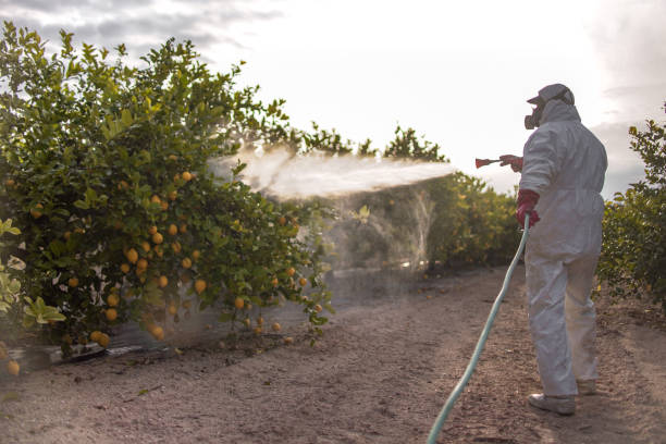 Best Pest Prevention Services  in North Webster, IN